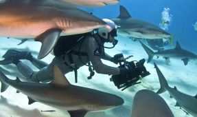 A Retrospective of 333 Productions