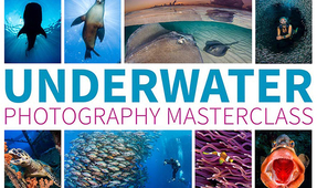 Review: “Underwater Photography Masterclass” by Alex Mustard