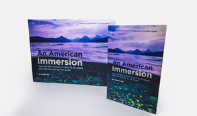 Review: “An American Immersion” by Jennifer Idol