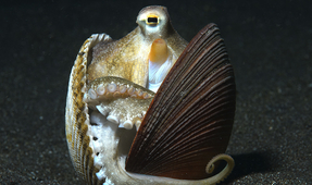 Photographer of the Week – Abi Smigel Mullens