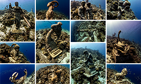 A Zodiac Guide for Freedivers