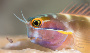 Photographer of the Week – Nigel Motyer