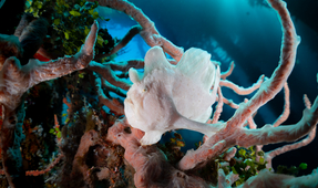 Photographer of the Week – Reilly Fallon