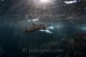 Jez_Tryner_Portfolio