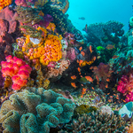 Shooting Across Indonesia: 10 Top Underwater Photography Sites